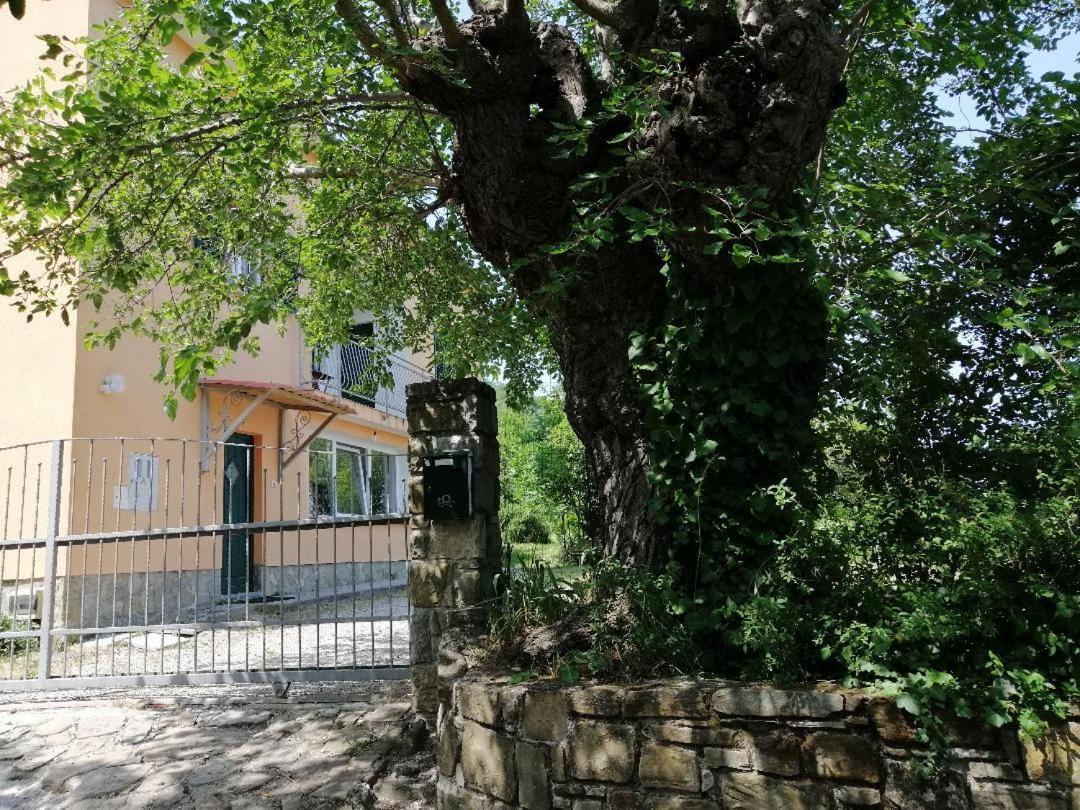 Murva Koper Buitenkant foto
